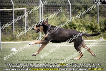 IMG_9651.jpg