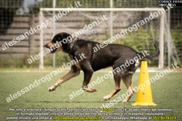IMG_9655.jpg