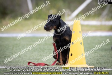 IMG_9659.jpg