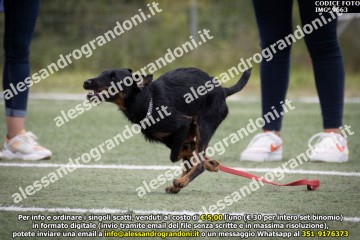 IMG_9663.jpg