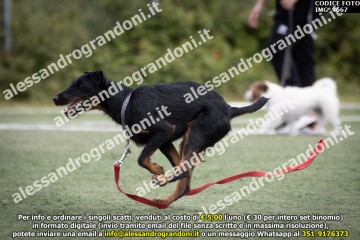 IMG_9667.jpg