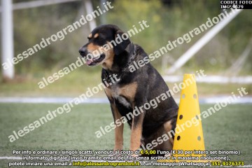 IMG_9679.jpg