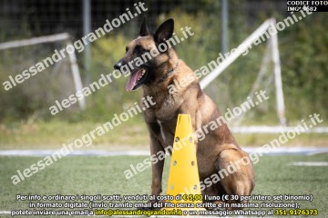 IMG_9682.jpg