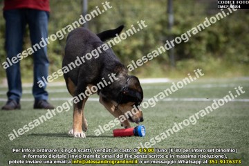 IMG_9684.jpg