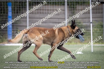 IMG_9686.jpg