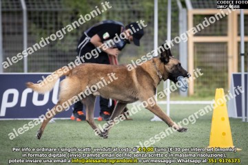 IMG_9688.jpg