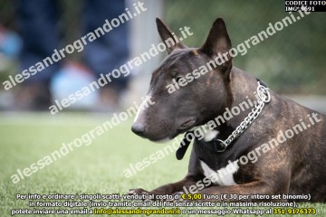 IMG_9691.jpg