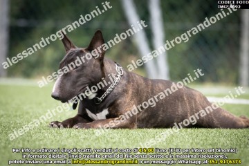 IMG_9692.jpg