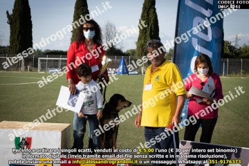 ZIMG_1241.jpg