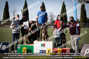ZIMG_1258.jpg