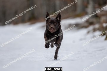 IMG_6361.jpg