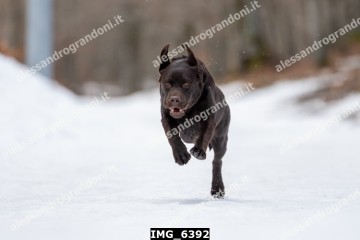 IMG_6392.jpg