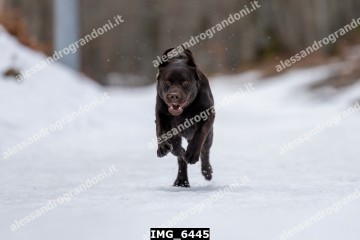 IMG_6445.jpg