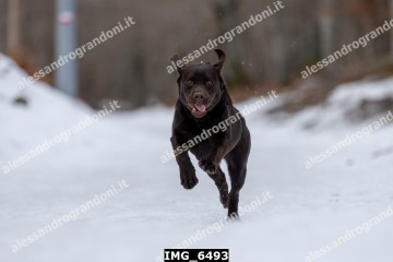 IMG_6493.jpg