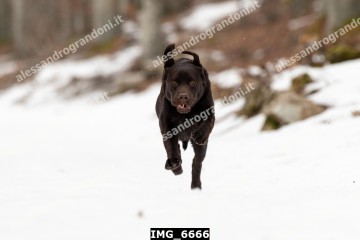 IMG_6666.jpg