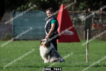 IMG_7641.jpg