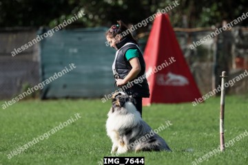 IMG_7644.jpg