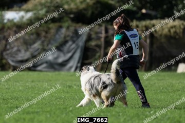 IMG_7662.jpg