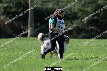 IMG_7683.jpg