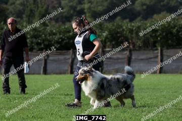 IMG_7742.jpg