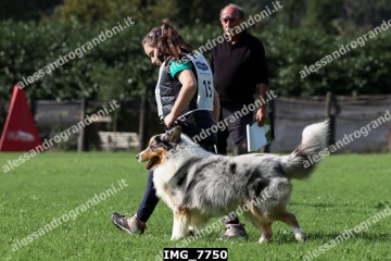 IMG_7750.jpg