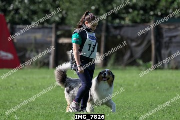 IMG_7826.jpg
