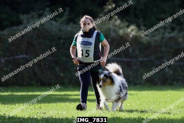 IMG_7831.jpg