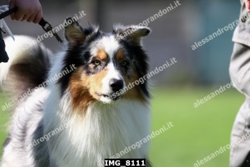 IMG_8111.jpg