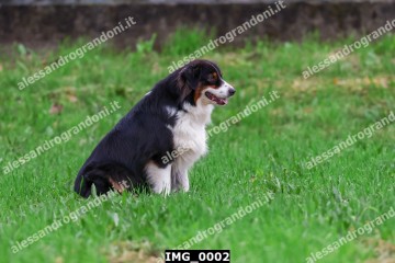 IMG_0002.jpg