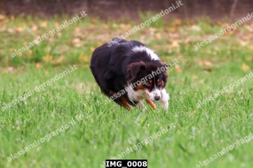 IMG_0008.jpg