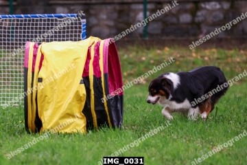 IMG_0031.jpg