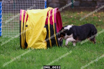 IMG_0032.jpg
