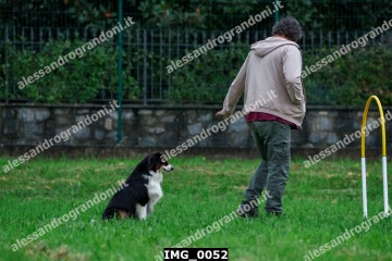 IMG_0052.jpg