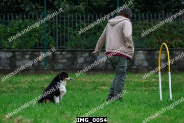IMG_0054.jpg