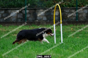 IMG_0057.jpg