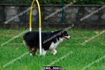 IMG_0061.jpg