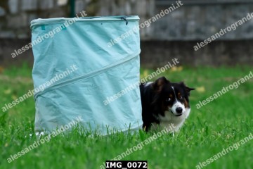 IMG_0072.jpg