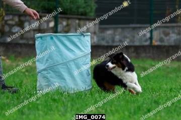 IMG_0074.jpg