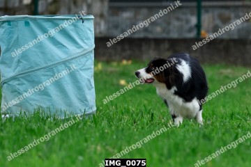 IMG_0075.jpg