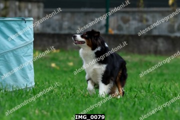 IMG_0079.jpg