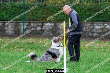 IMG_0444.jpg