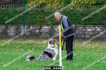 IMG_0446.jpg