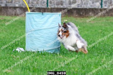 IMG_0459.jpg