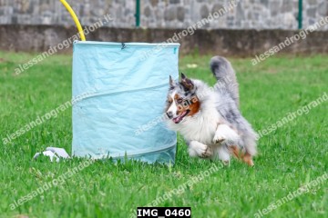 IMG_0460.jpg