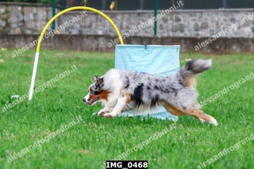 IMG_0468.jpg