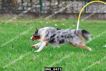 IMG_0471.jpg