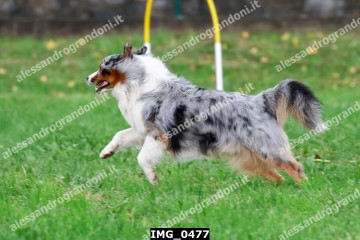 IMG_0477.jpg
