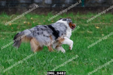 IMG_0482.jpg
