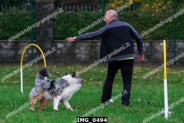 IMG_0494.jpg