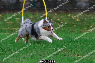 IMG_0513.jpg